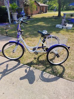 Komodo Falcon 6 Speed Adult Tricycle