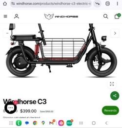 Windhorse Electric Sit Down Scooter  Hold A Child A Mom And The Dog In The Middle