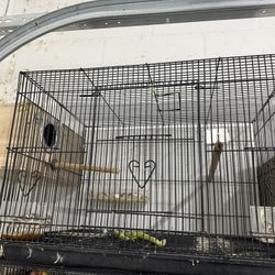 Bird Cage  Use