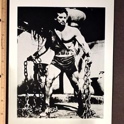 Steve Reeves Hercules Unchained Movie Actor Bodybuilder 8x10 Glossy Vintage Still Photo Picture