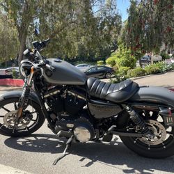 2022 Harley Davidson Sportster