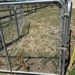 Dog Kennel 