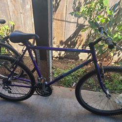 Schwinn Hurricane 