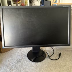 NEC Computer monitor