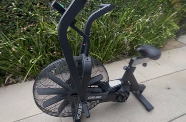 Rogue Fitness Echo Bike V2
