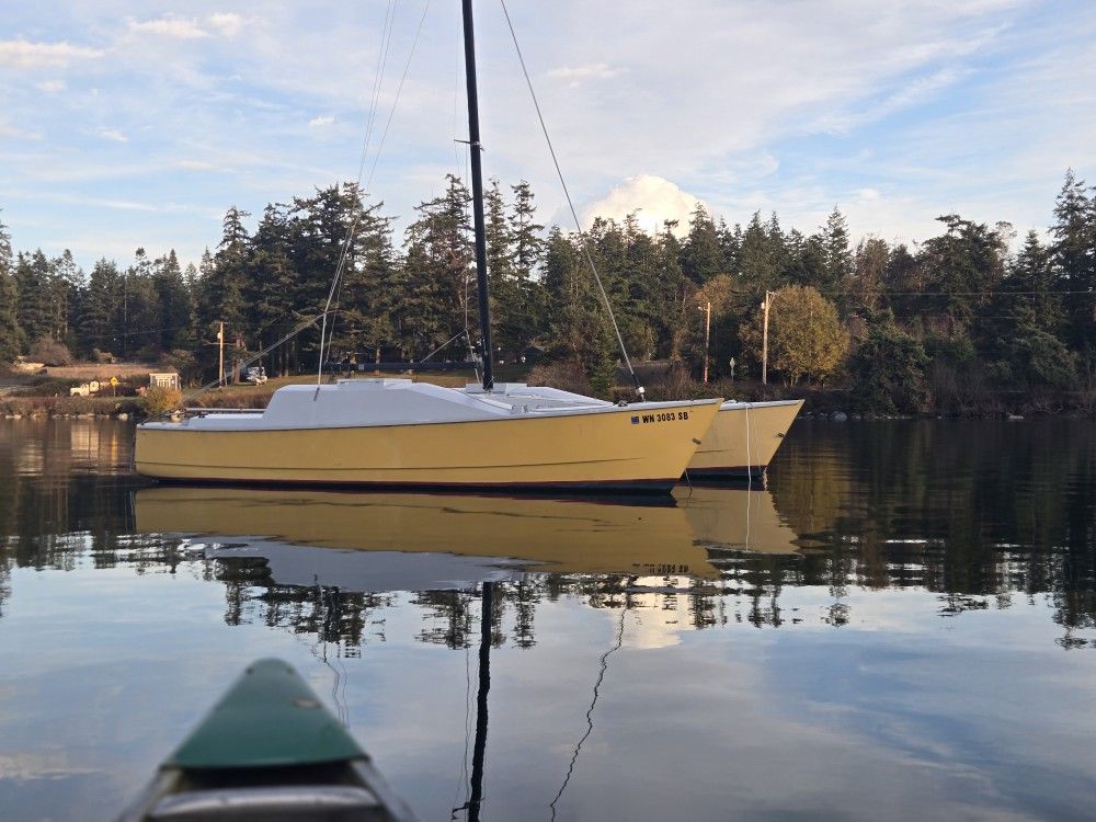 2010 Richard Woods Shadow