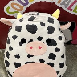 NEW VALENTINES colin the cow squishmallow 20”