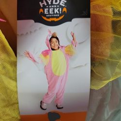 Girls parrot halloween costume size 18/24  months and 4T/5T 