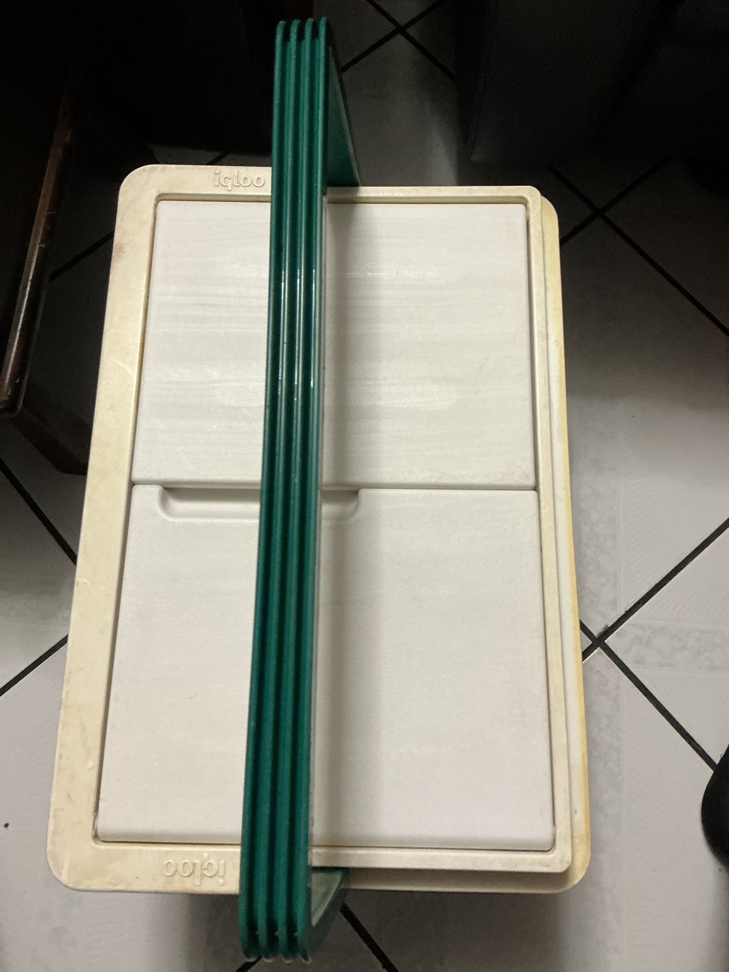 Igloo Cooler $10