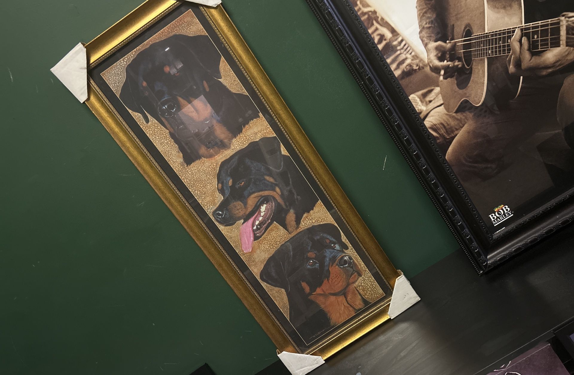 Rottweiler
