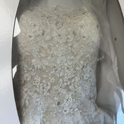 Beautiful Wedding Dress And Vail