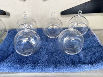 4” Plastic Terrarium (set of 6)