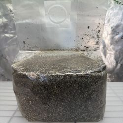 Substrate 