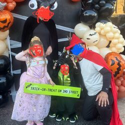 Sleeping Beauty Family Costumes
