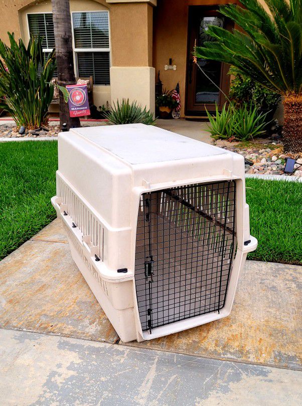 Large dog crate 40 x 31 x 26.
