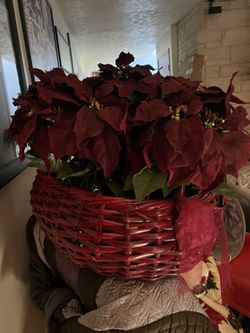 Large Red Basket Of 6 Silk Potted Poinsettias 