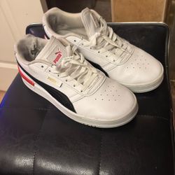 puma