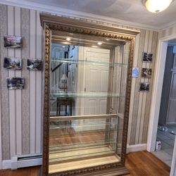 Pulaski Lighted Curio