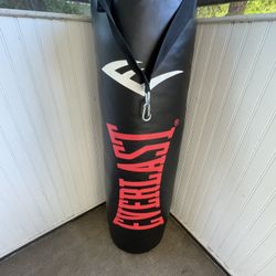 Everlast Heavy Bag 