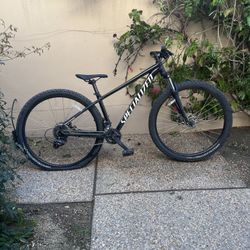 Specialized Mountain Bike