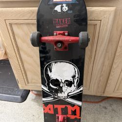 Skate Board 