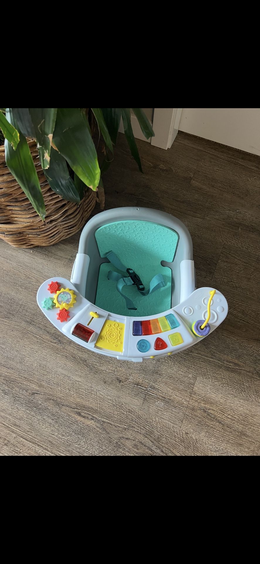 Baby Swing And Seat