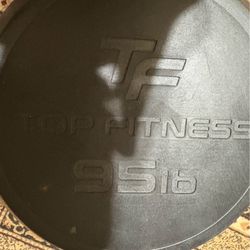 95lb Single Dumbbell 