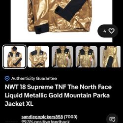North Face Jacket 