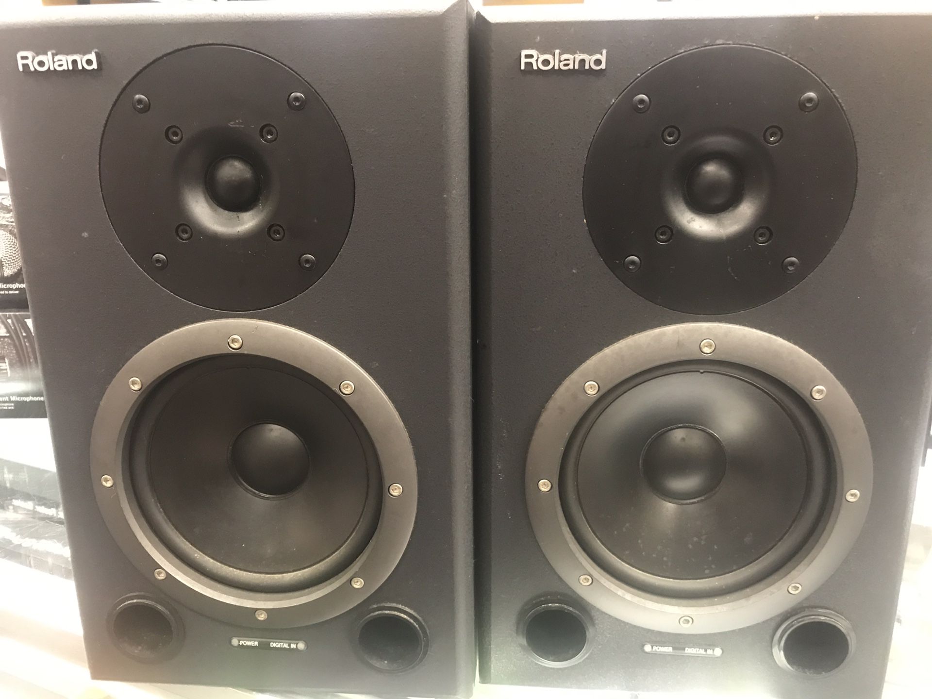 Roland DS-90 monitors