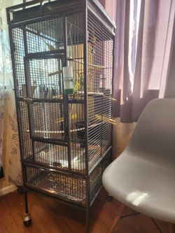 Large bird cage