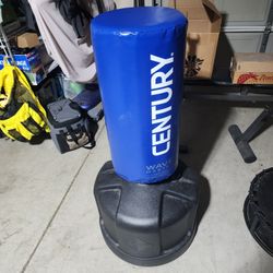 Century Wavemaster Punching Bag