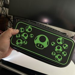 Nintendo switch carrying case