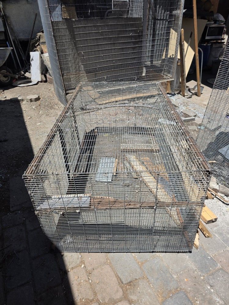 Large Avery Bird Cage