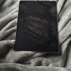 Apple IPad, grey, 12 inch