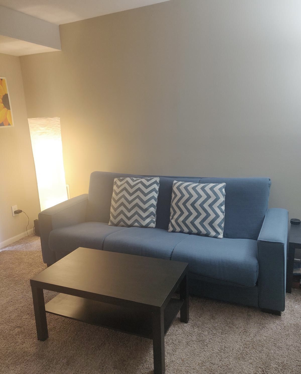 Sofa Cum Bed