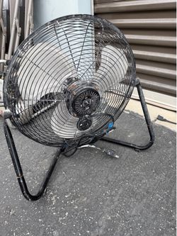 Fan