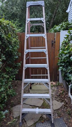 8' Werner Ladder