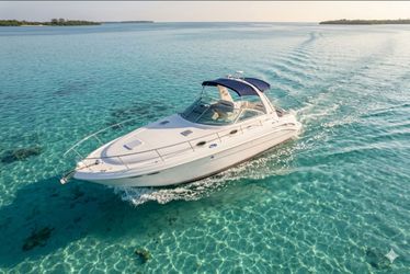Sea ray 37 pies