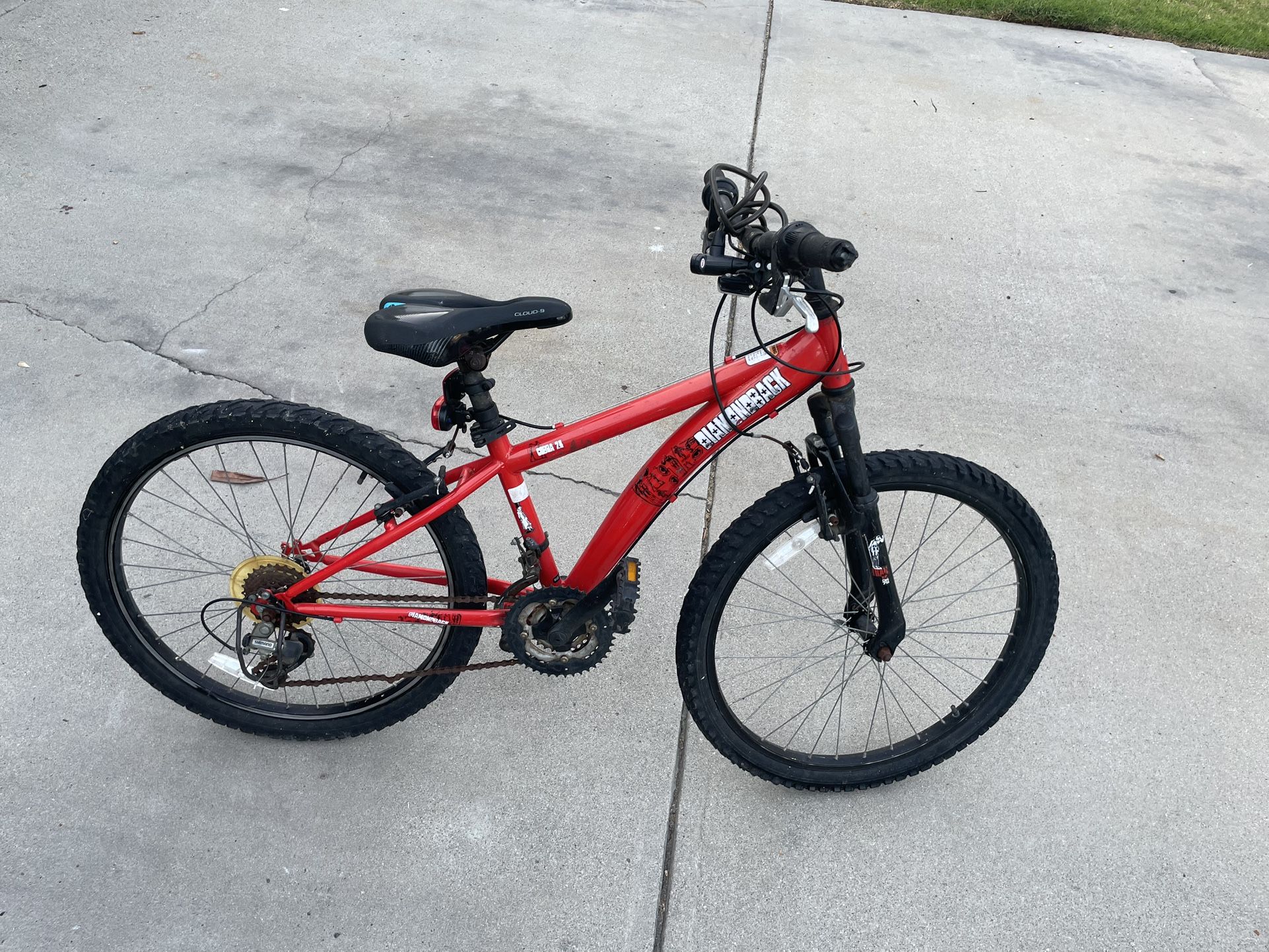 Old Diamondback mountain bike