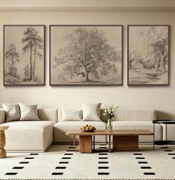 3Piece Framed Sketch Tree Wall Art