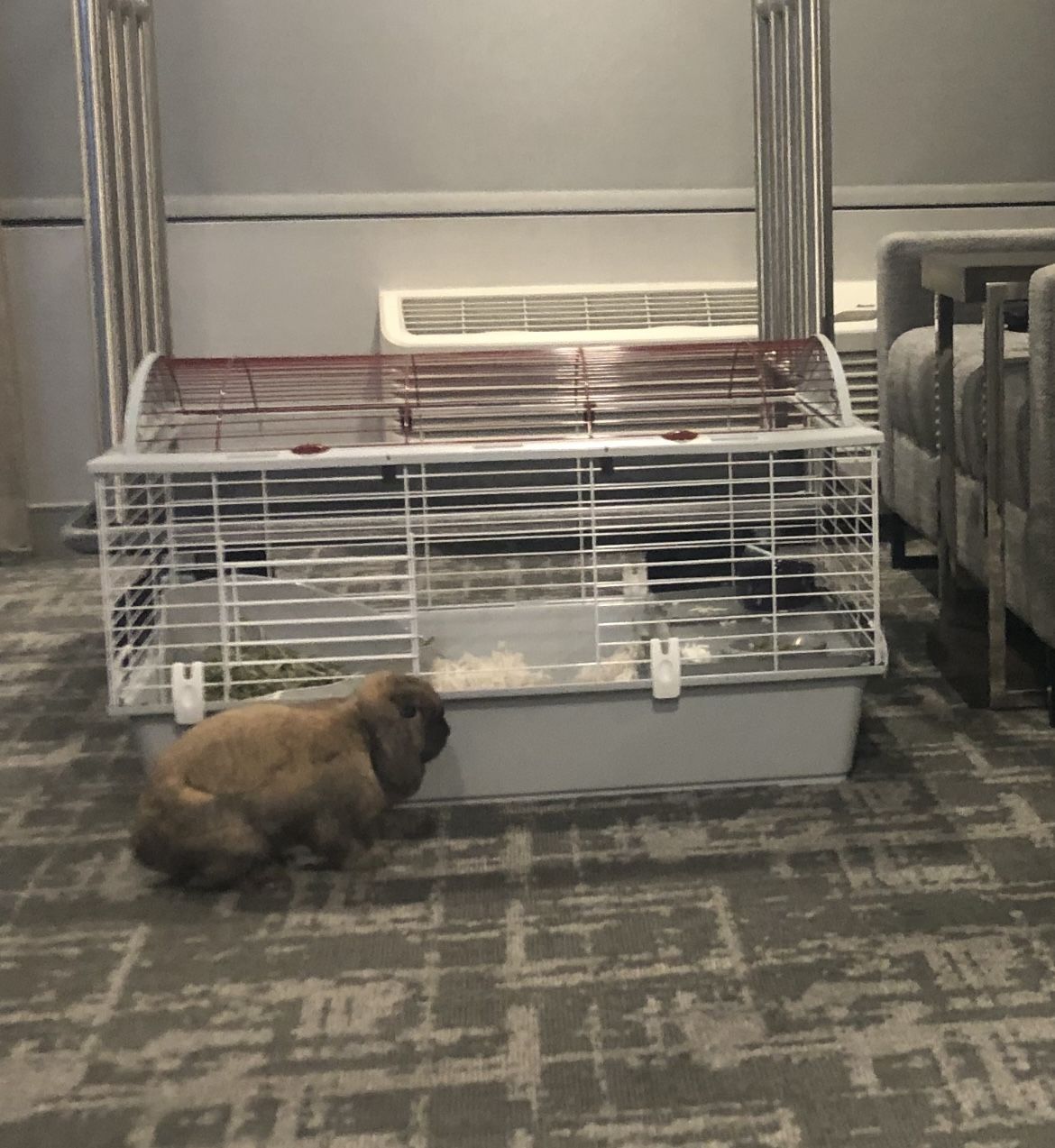 Large Cage For Bunnies/Guinea Pigs/Chinchillas