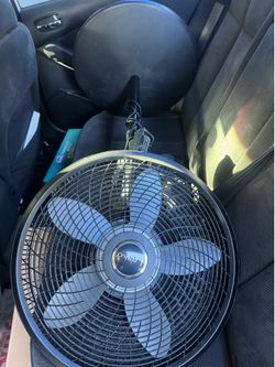Lasco fan
