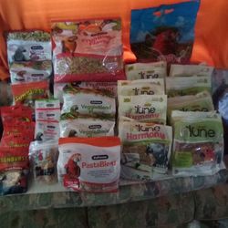 Parrot Food