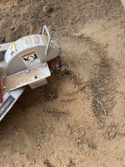 Stump Grinding Palm Trees