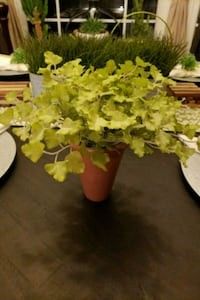 Small Artificial Plant