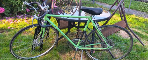 1972 Schwinn World Traveler Bike