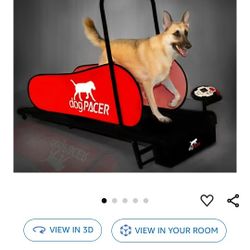 Dog pacer for sale sale