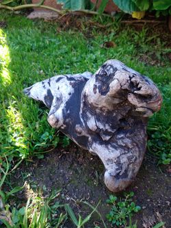 Natural Driftwood For Aquariums Terrariums Decor Etc 