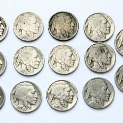 Lot Of (14) Buffalo Nickels, 1(contact info removed), About Good - Fine Condition