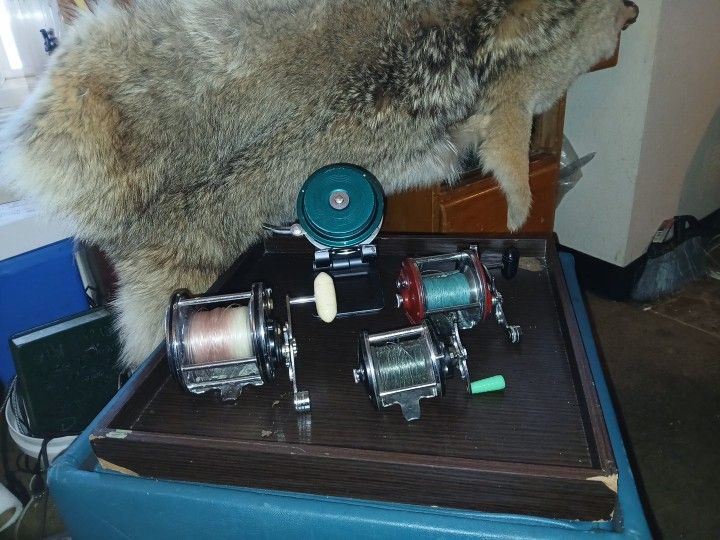 Vintage Fly Reel & Baitcasters